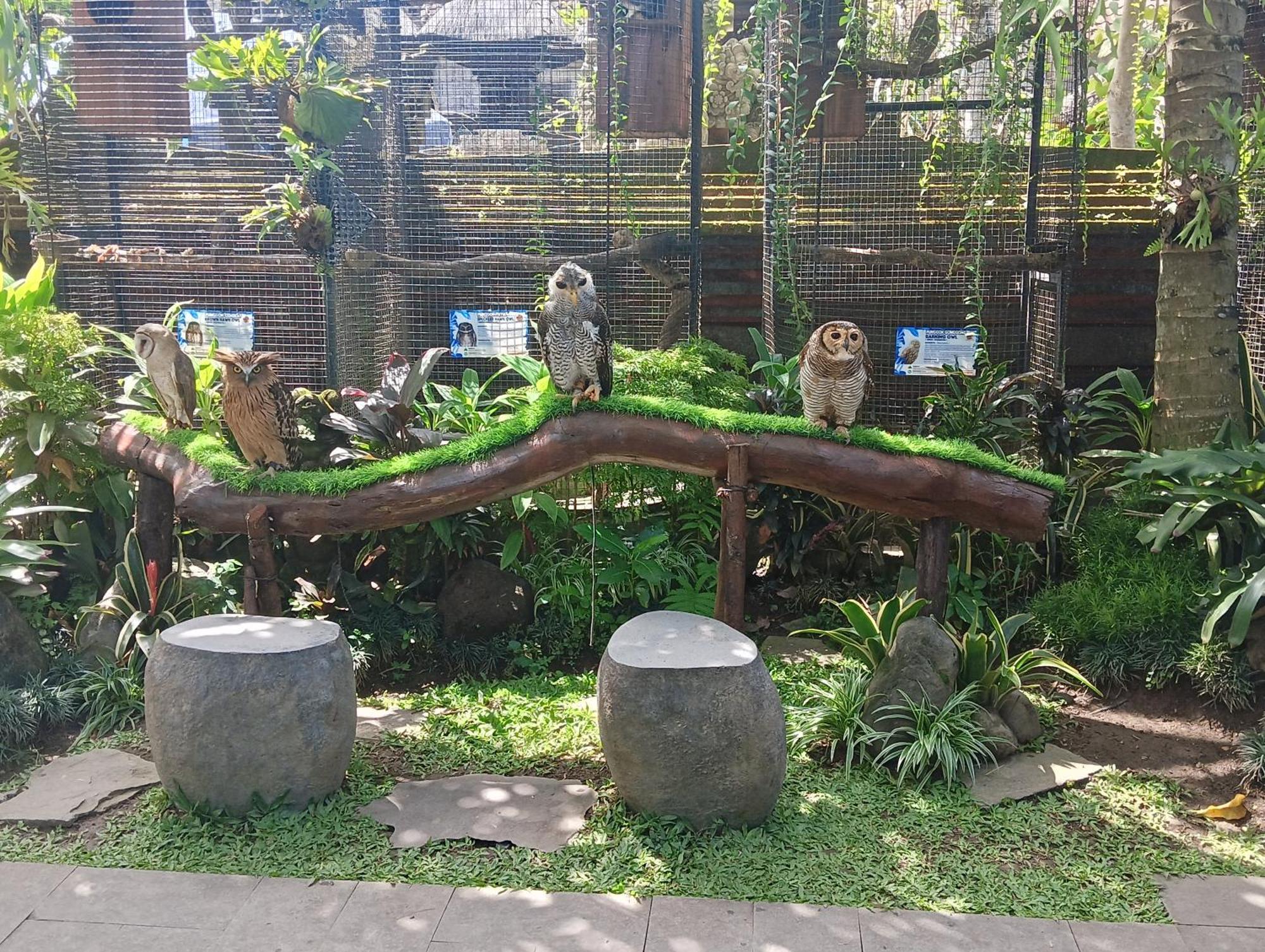 Liyer Spirit House Guest house 3*